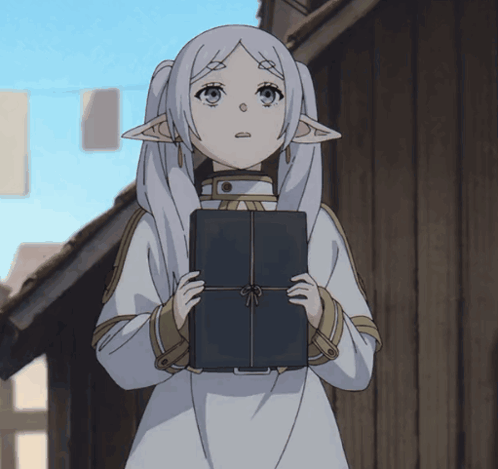 Frieren holding a book meme template
